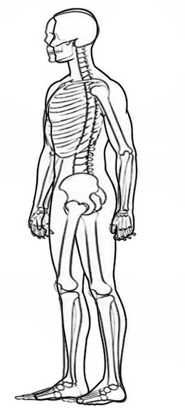 Standing posture