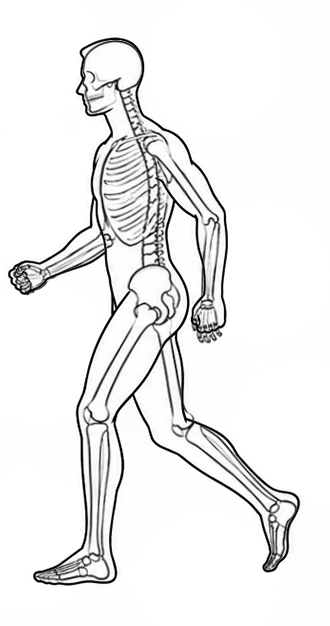 Initial stride