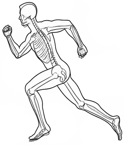 Full stride